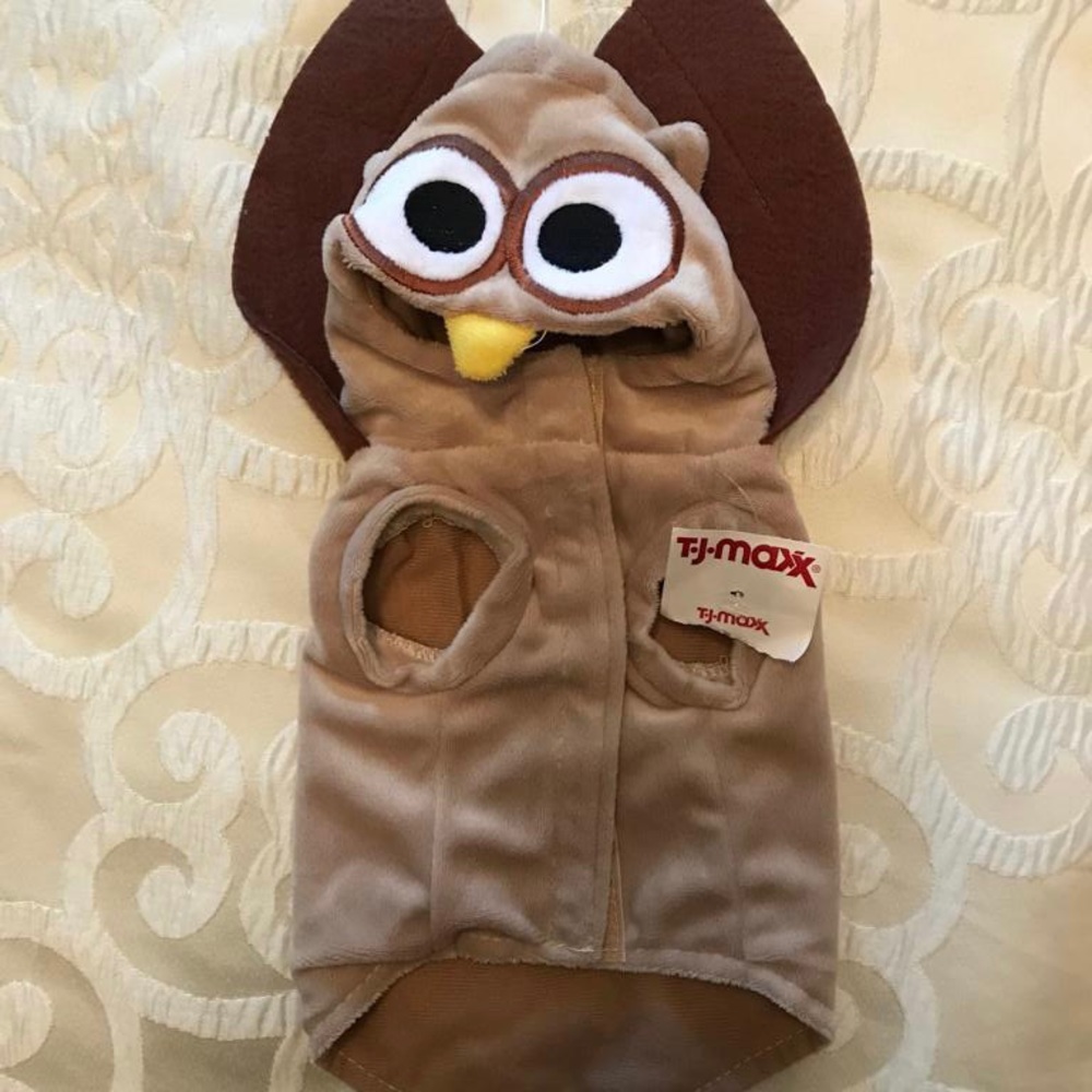 Dog Costume 🐶 - Picture 1 of 3